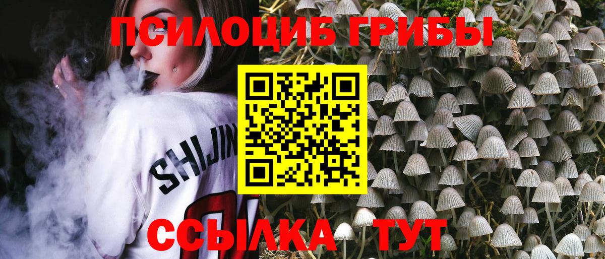 Галлюциногенные грибы прущие грибы  Вход с VPN  закладка  Владимир  Галлюциногенные грибы GOLDEN TEACHER 